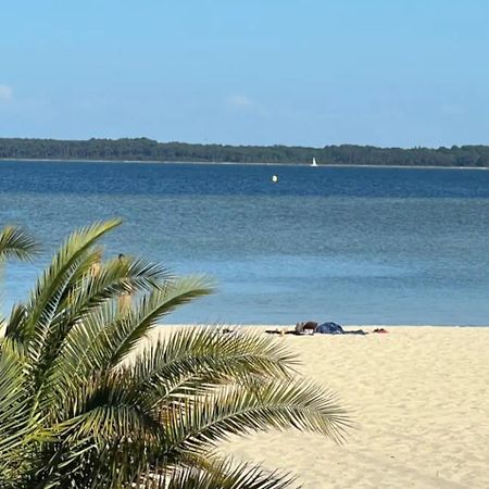 Chalet Et Jaccuzy Sur La Plage بيسكاروس المظهر الخارجي الصورة