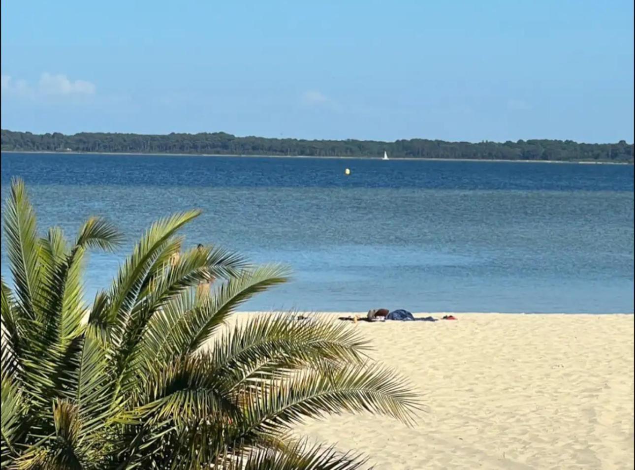 Chalet Et Jaccuzy Sur La Plage بيسكاروس المظهر الخارجي الصورة